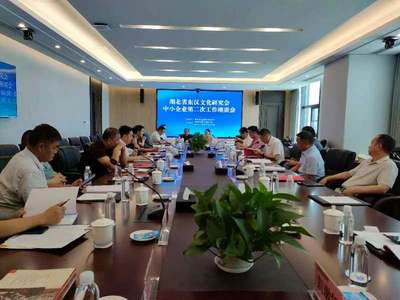 省東漢文化研究會赴宜昌調研 聚焦網絡文化經營，助力民營實體企業發展